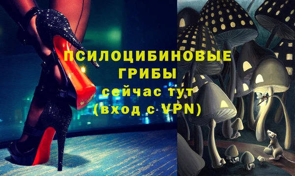apvp Алзамай