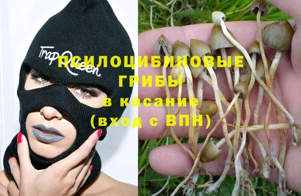 ГАЛЛЮЦИНОГЕННЫЕ ГРИБЫ Алексеевка