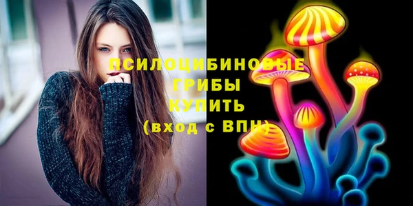 Альфа ПВП Алексин