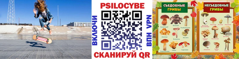 Галлюциногенные грибы Cubensis  Неман 